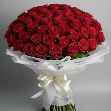 Букет 101 Красная роза Блэк Мэджик в Новоселье Ленинградская область