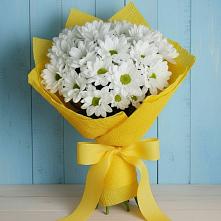 Букет цветов из:  Хризантемы #REPLACE_PRED# Новоселье Ленинградская область