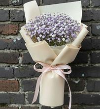 Букет цветов из:  Гипсофила в Новоселье Ленинградская область