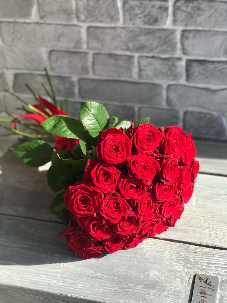 Букет Красные розы Фридом в Новоселье Ленинградская область