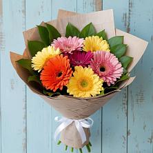 Букет цветов из:  Герберы в Новоселье Ленинградская область