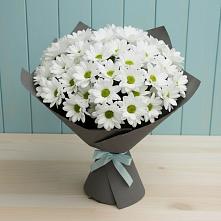 Букет цветов из:  Хризантемы в Новоселье Ленинградская область