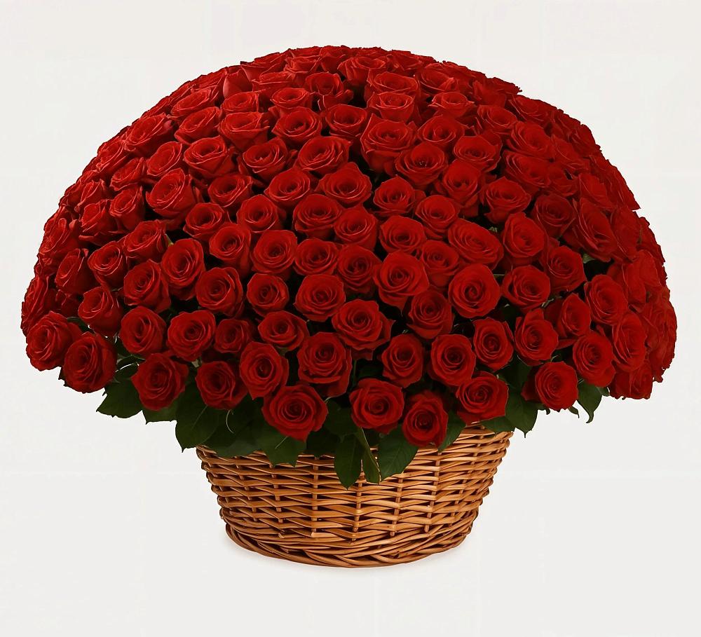 Премиум букет из: Розы в Новоселье Ленинградская область