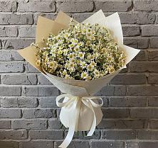 Букет цветов из:  Ромашки в Новоселье Ленинградская область