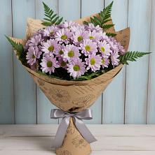 Букет цветов из:  Хризантемы в Новоселье Ленинградская область