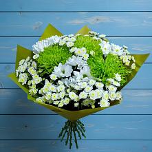 Букет цветов из:  Хризантемы в Новоселье Ленинградская область