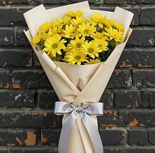 Букет цветов из:  Хризантемы в Новоселье Ленинградская область