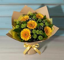 Букет цветов из:  Герберы и Хризантемы в Новоселье Ленинградская область