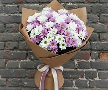 Букет цветов из:  Хризантемы в Новоселье Ленинградская область