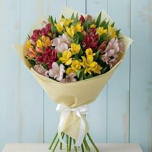 Букет цветов из:  Альстромерии в Новоселье Ленинградская область