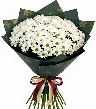 Букет цветов из:  Хризантемы в Новоселье Ленинградская область
