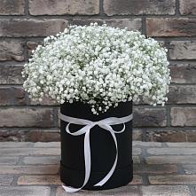 Цветочная композиция из Гипсофила в шляпной коробке в Новоселье Ленинградская область