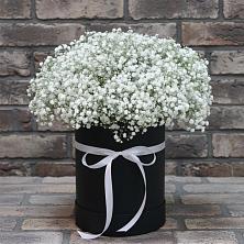 Цветочная композиция из Гипсофила в шляпной коробке в Новоселье Ленинградская область
