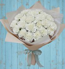Букет цветов из:  Гвоздики в Новоселье Ленинградская область