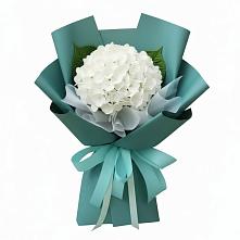 Букет цветов из:  Гортензия в Новоселье Ленинградская область